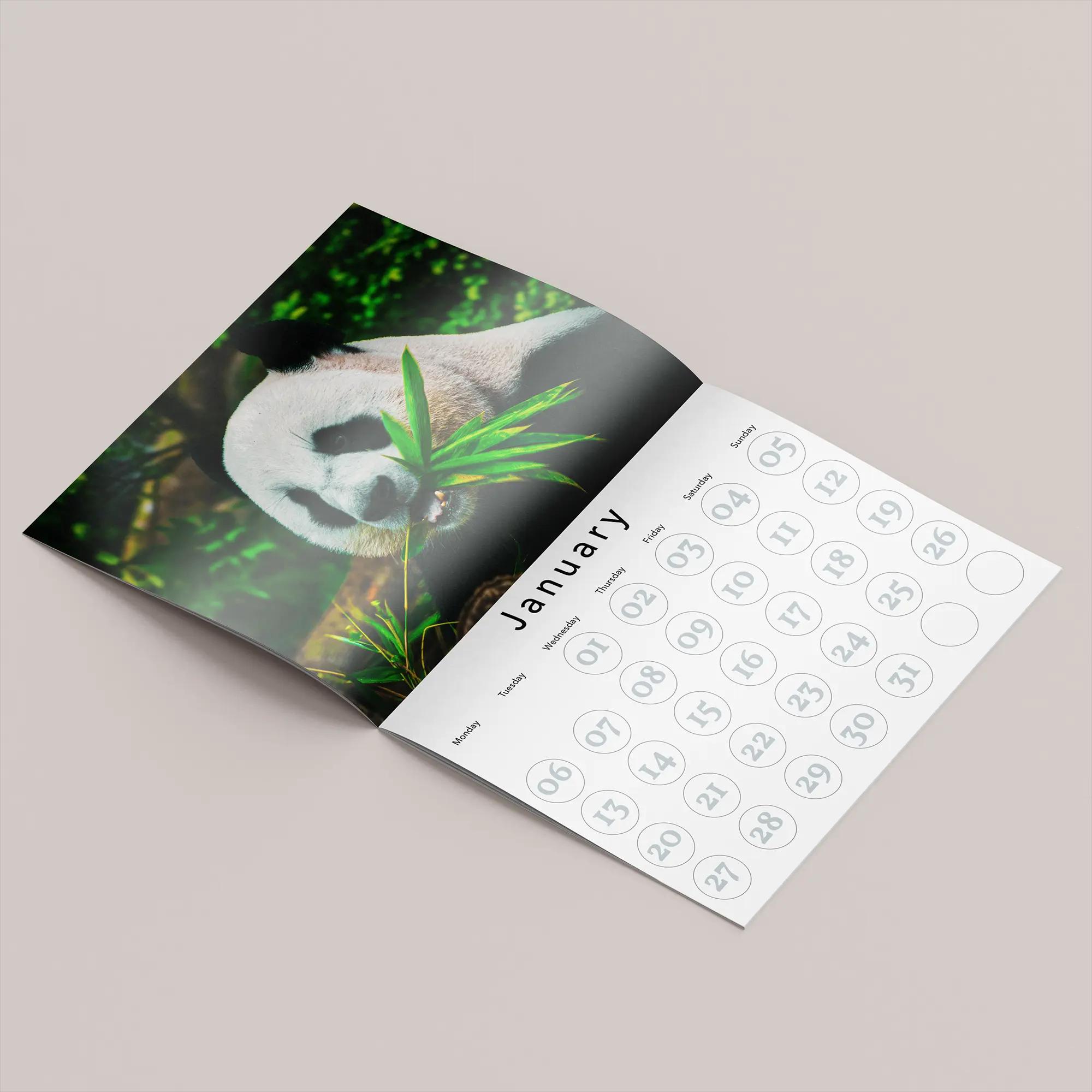 Custom Calendars