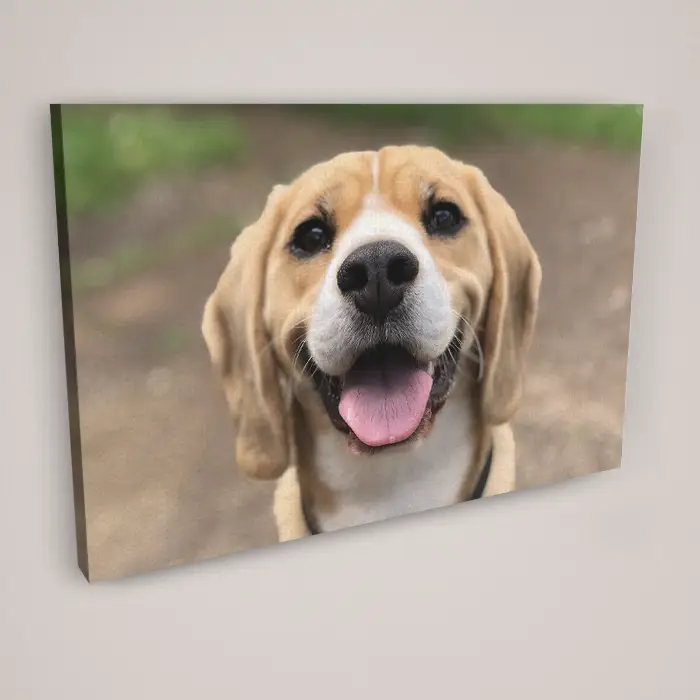 Landscape Canvas Print