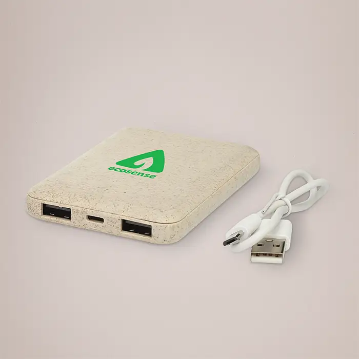Branded Power Banks
