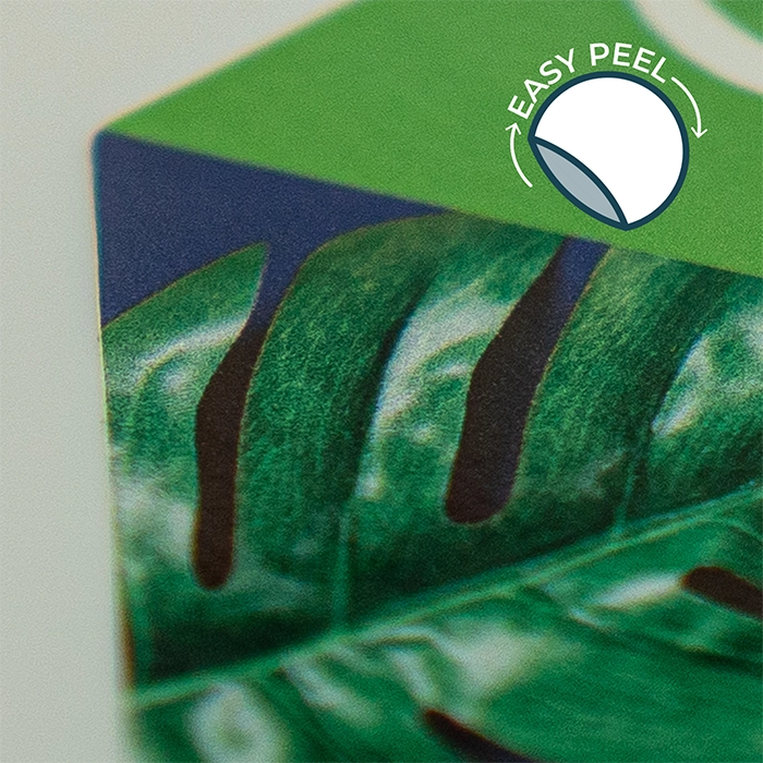 Removable Coated Paper Labels