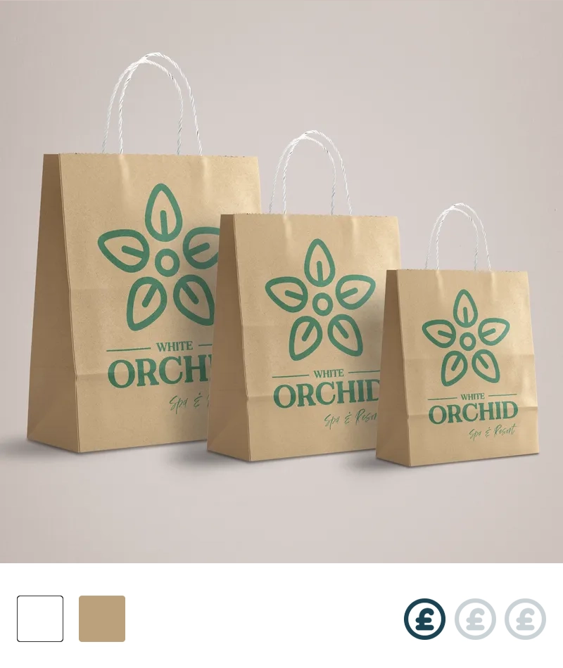 Custom Printed Paper Bags 
