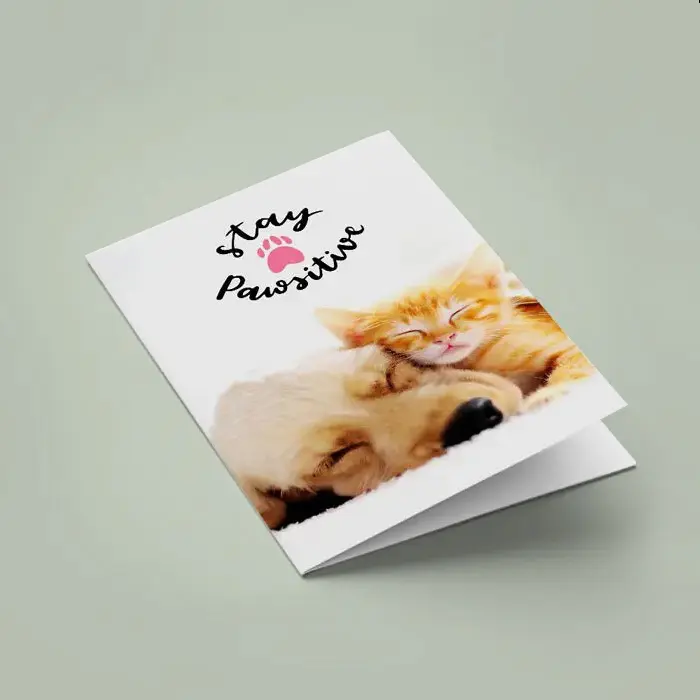 Greeting Cards