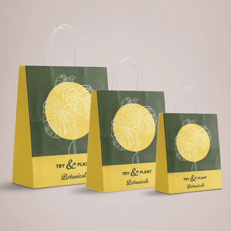 Retail & Event Carrier Bags
