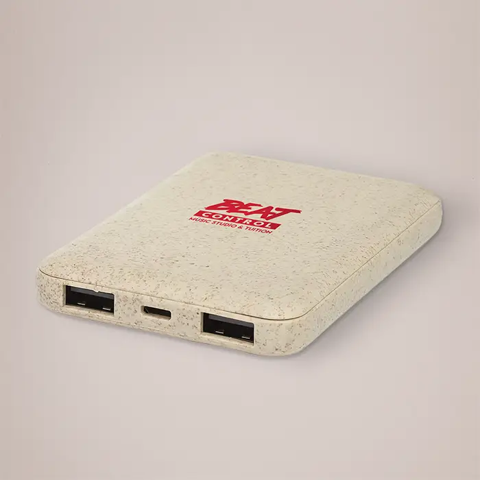 Custom Portable Power Banks