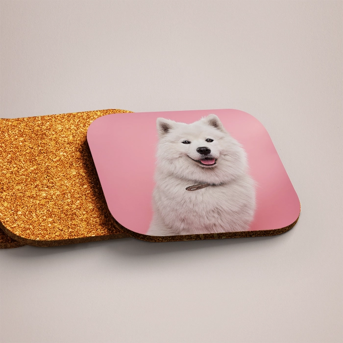 Coasters