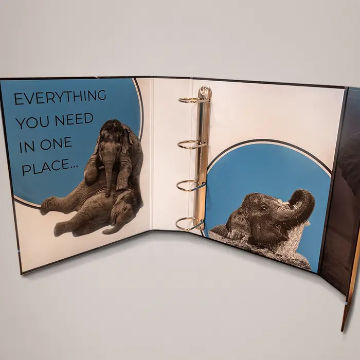 Large Format Print Samples