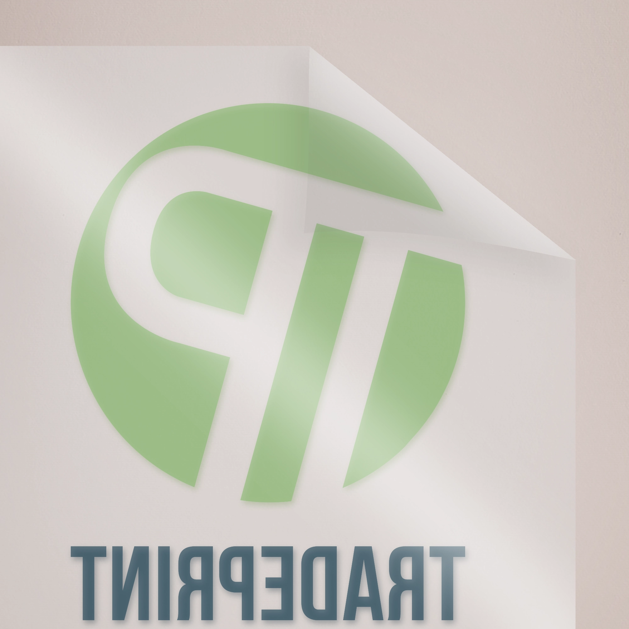 Transparent Vinyl - Mirror Printed