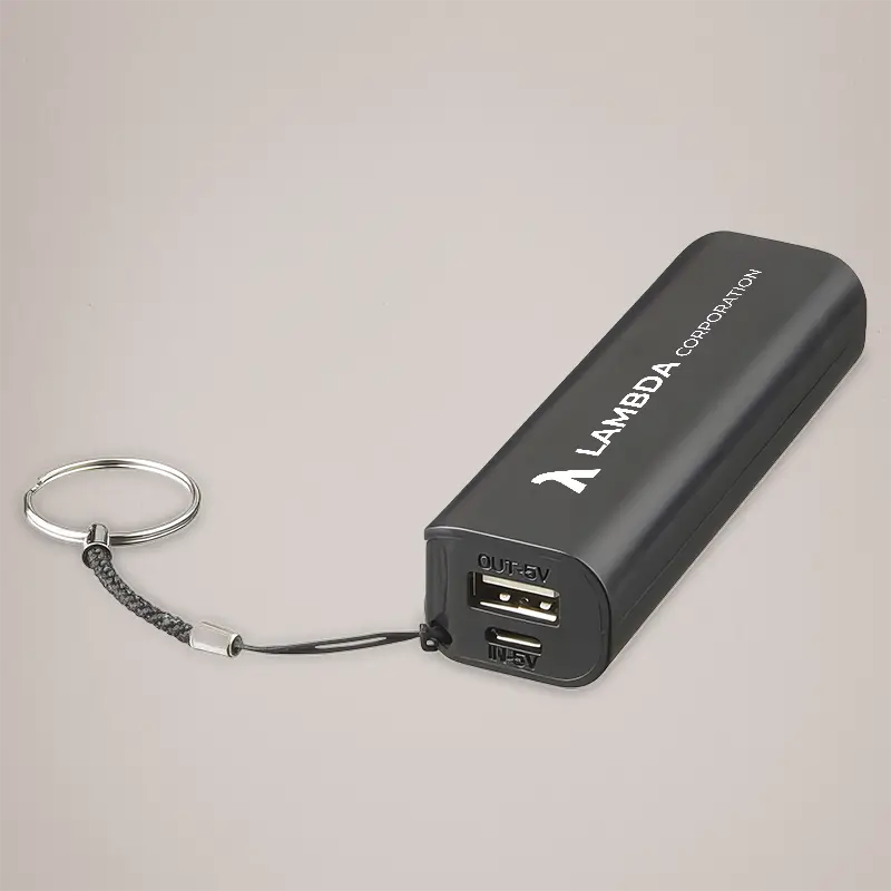 Custom Power Banks